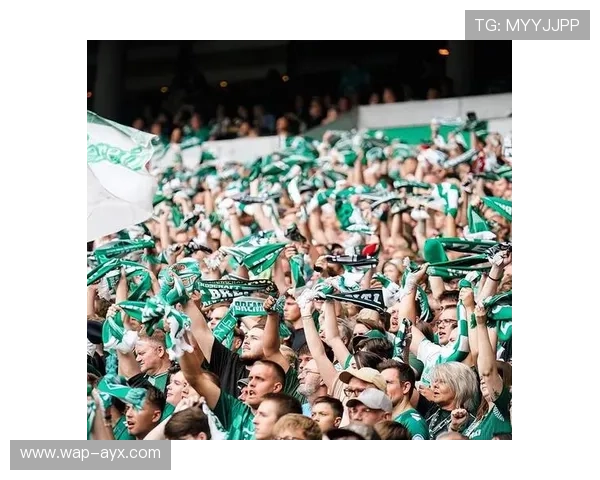 德甲俱乐部开放日吸引万名球迷,虚拟签名成亮点 德甲俱乐部开放日吸引万名球迷,虚拟签名成亮点